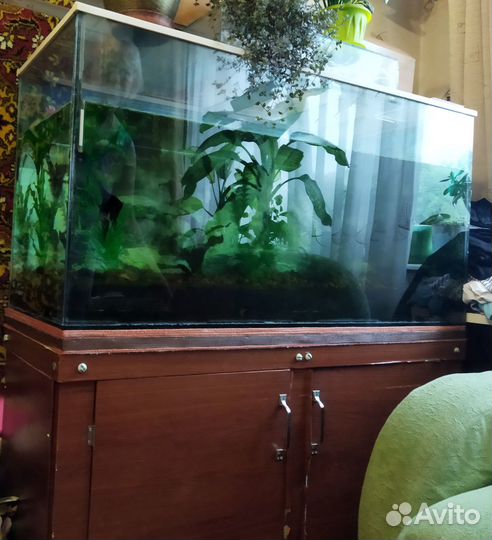 Аквариум 200 литров