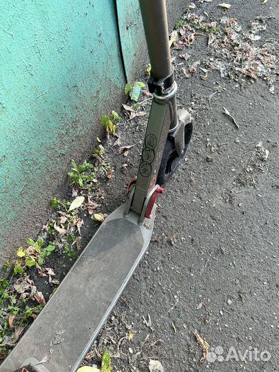 Самокат взрослый