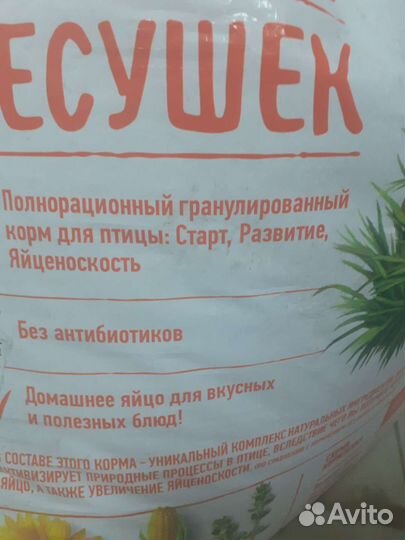 Корм для кур несушек