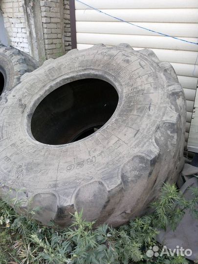 Шины 28LR26 белшина бел 83