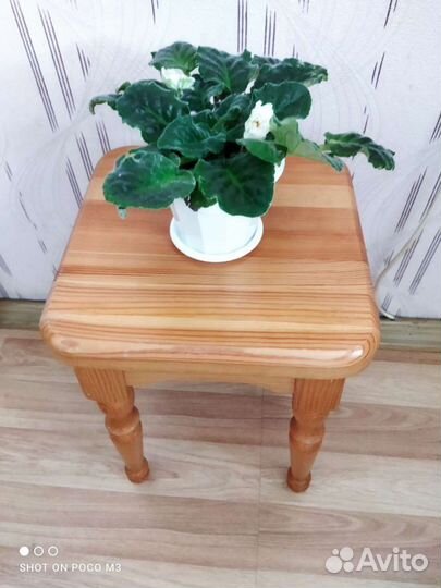 Фиалка в горшках