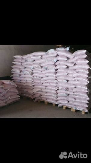 Семена кукурузы