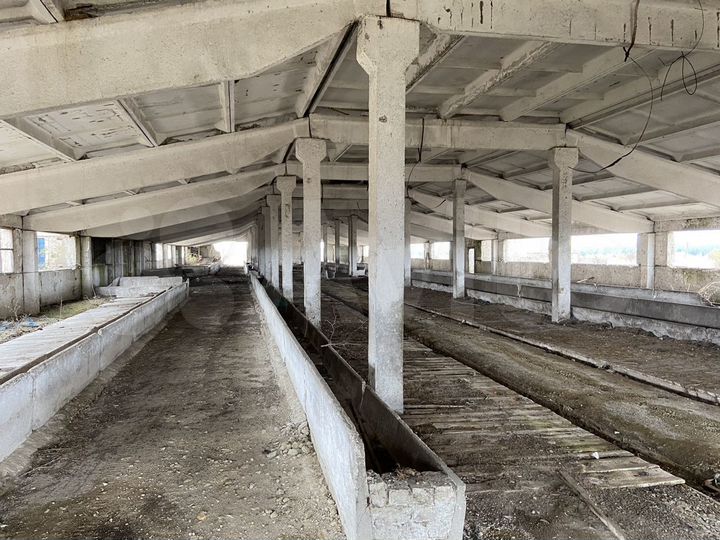 Здание, 3000 м²