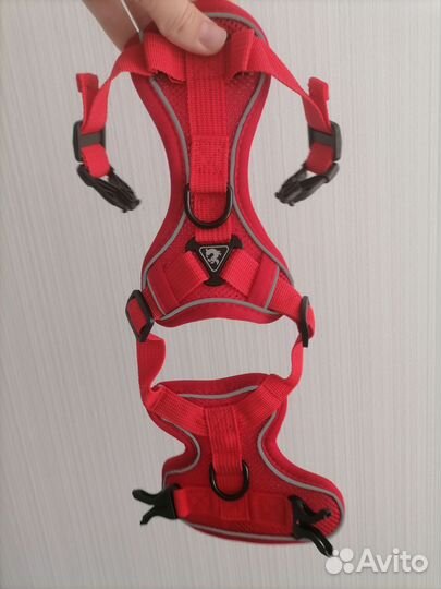 Шлейка для маленьких собак и поводок 1,5 метра