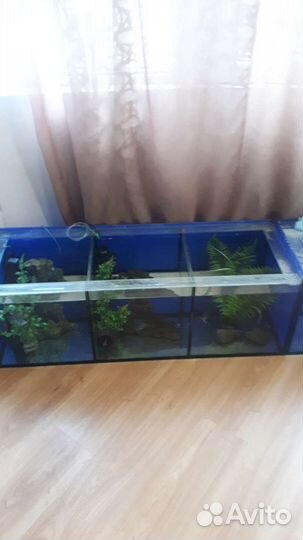 Аквариум