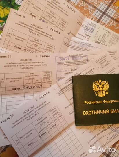 Барсучий жир от охотника