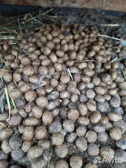 Навоз куриный, кроличий, перегной кроличий