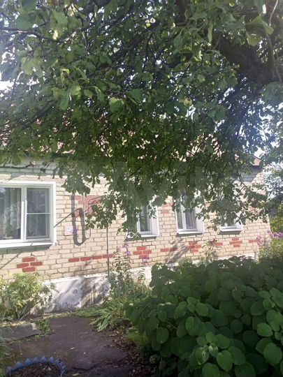 Дом 52 м² на участке 30 сот.