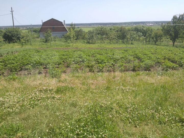 Дом 40 м² на участке 23 сот.