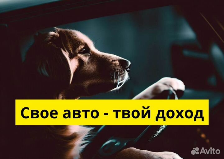 Яндекс.GO: подключай свое авто