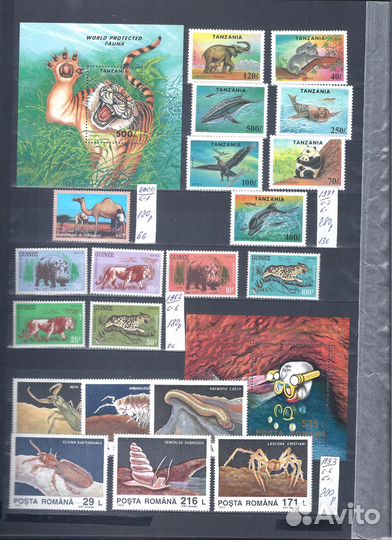 Фауна чистая 1