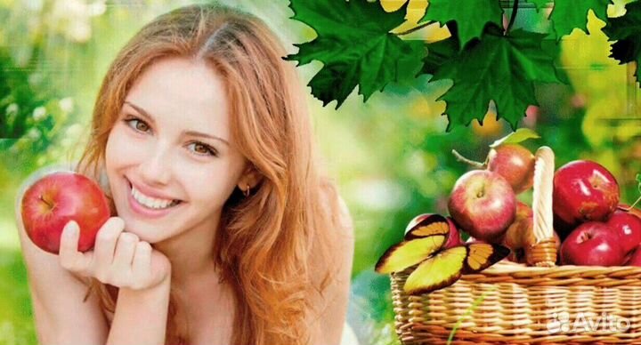 Требуется Разнорабочий по сборке яблок