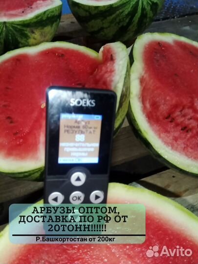 Арбузы с доставкой опт от 20 тонн