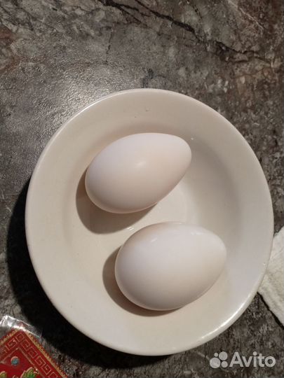 Яйцо домашнее