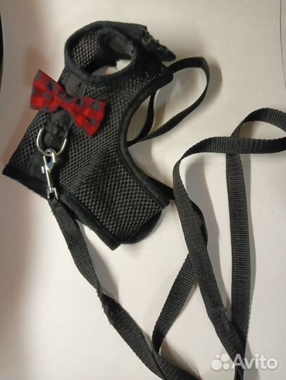 Поводок ошейник для кролика