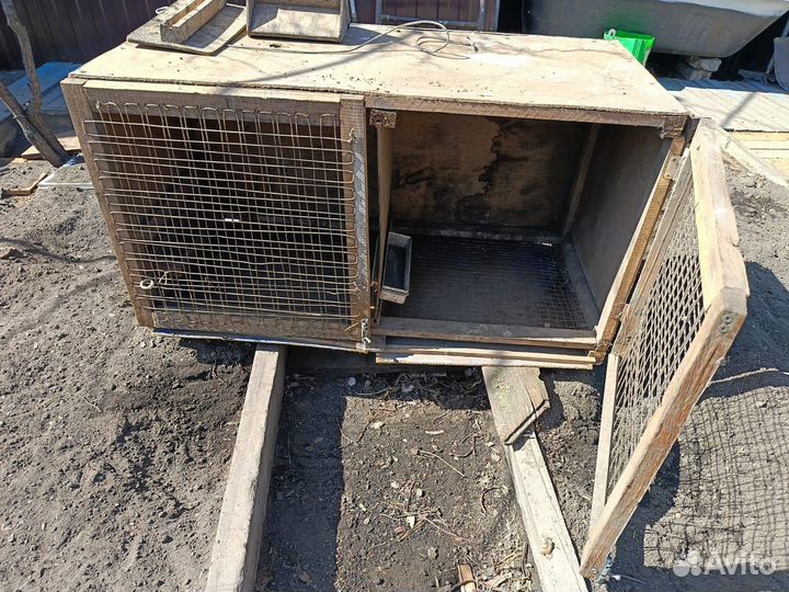 Клетка для цыплят и курей