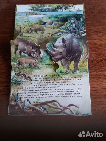 Книги для детей среднего и младшего возраста