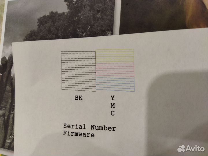 Цветной мфу epson l3100 с снпч