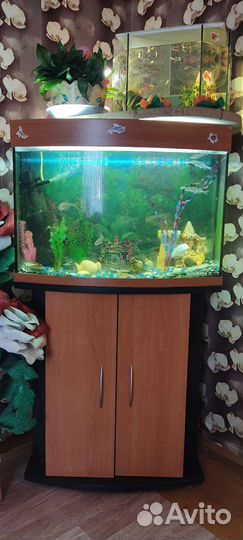 Продаються аквариумы 20,110,250литров писать в лс