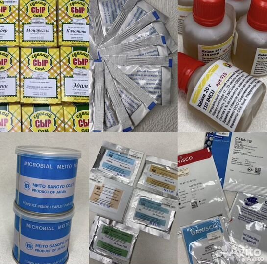 Закваски углич