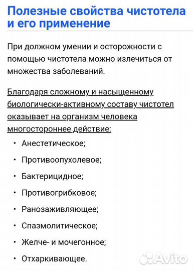 Чистотел растение