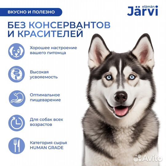 Jarvi паштет с рыбой для собак всех пород с чувств
