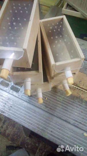 Живые пчёлы, для апитерапии, пчелоужаливаний