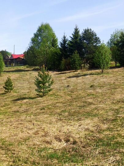 Участок 13,02 га (ИЖС)