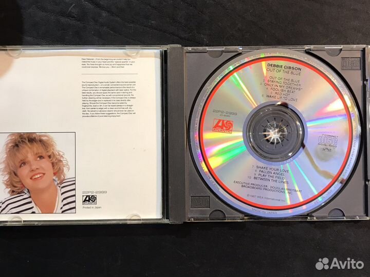 Debbie gibson out of the brue