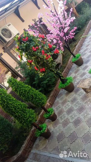 Искусственные деревья и цветы