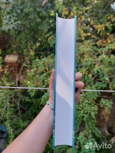 Медвежий угол Фредерик Бакман