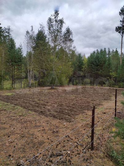 Участок 4 сот. (СНТ, ДНП)