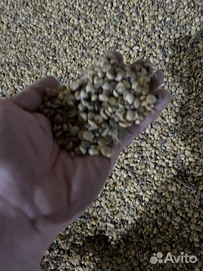 Соя половинки