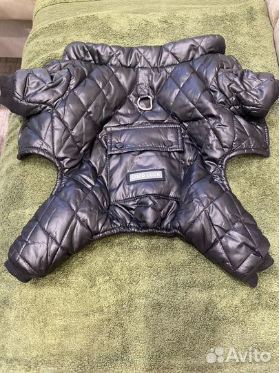 Одежда доя собачки