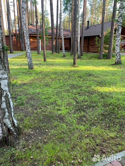 Покос травы триммером