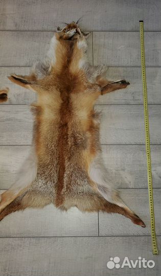 Шкурки лисы