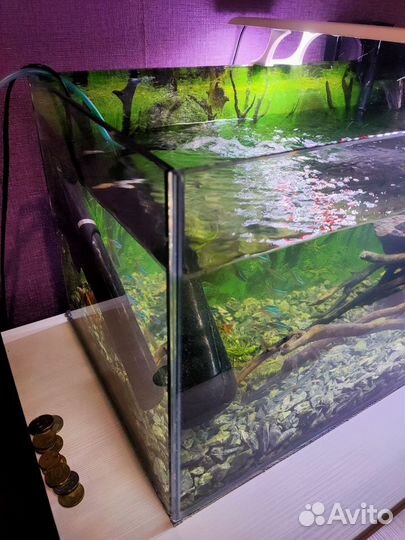 Аквариум