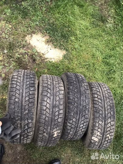 Gislaved Nord Frost 5 195/65 R15