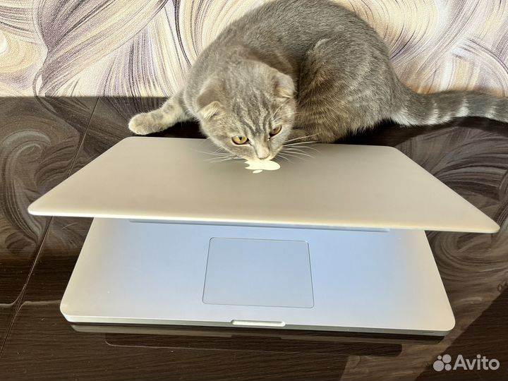 MacBook Pro (15 дюйма, середина 2010 г.)