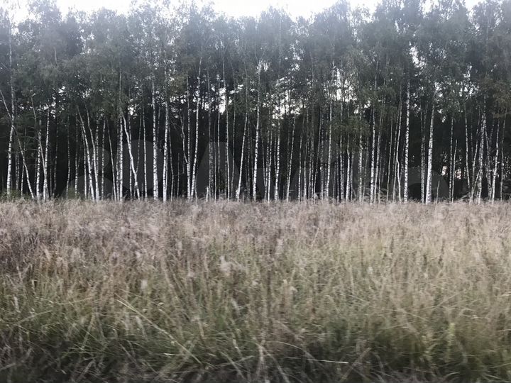 Участок 12 сот. (СНТ, ДНП)
