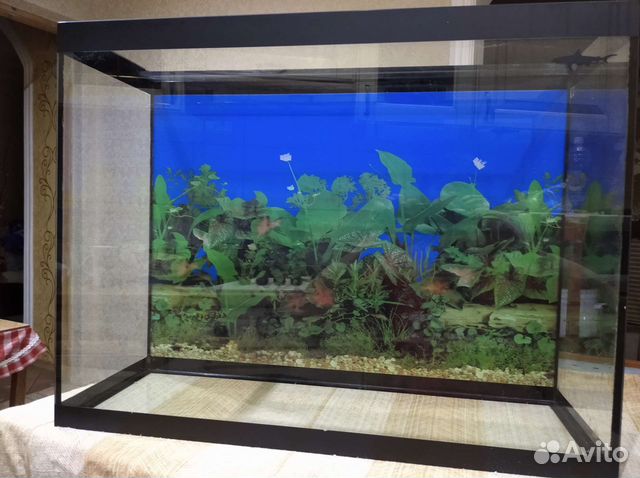 Аквариум