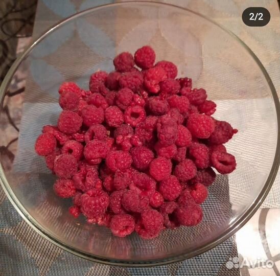 Рассада малины