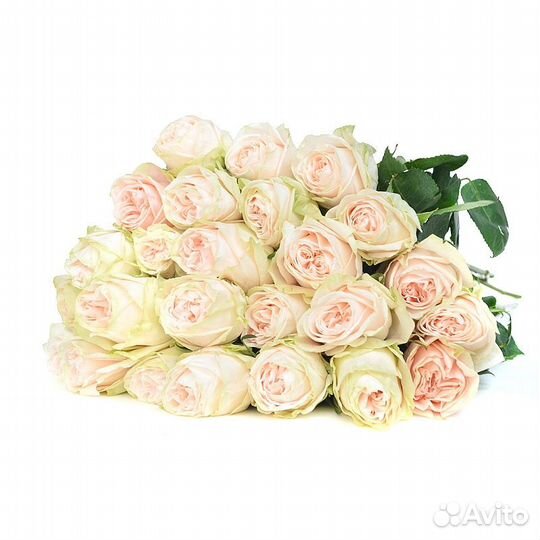 Букет из пионовидных роз «Гарден»