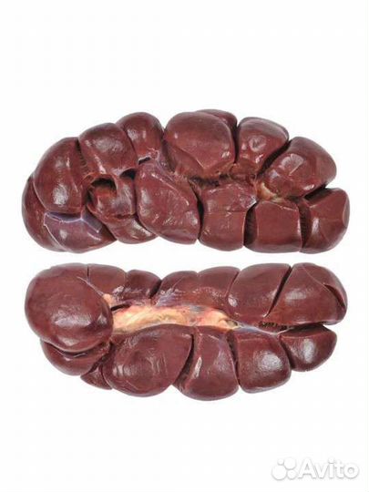 Почки говяжьи