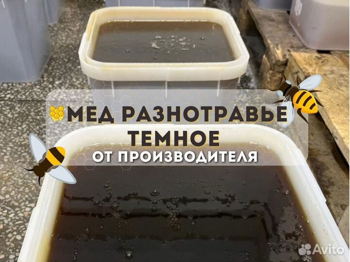 Свежее Разнотравье темное Качка 2023 год Опт