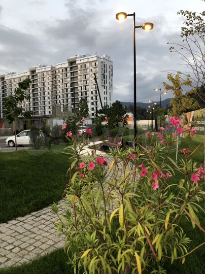 1-к. квартира, 35 м², 6/12 эт.