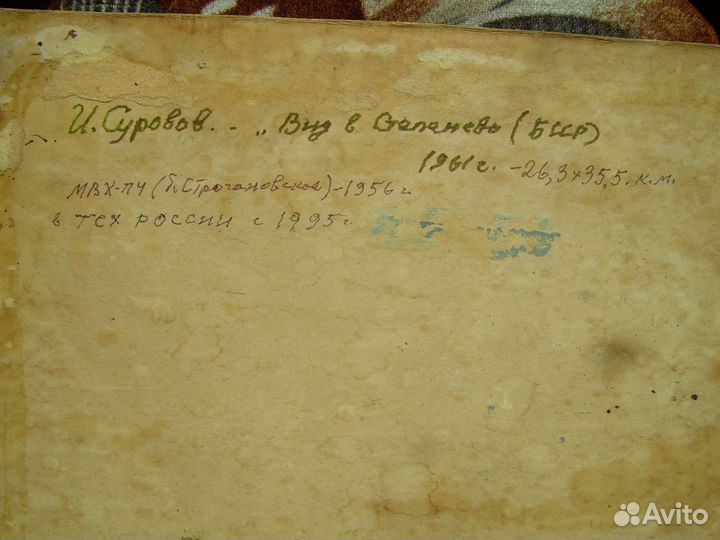 Вид в Степанево\бсср\ 1961г.И.П.Суровов