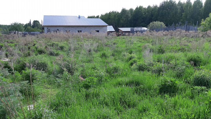 Участок 15 сот. (ИЖС)