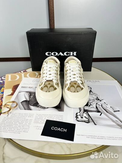 Кеды coach