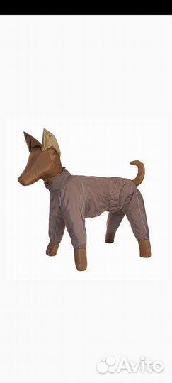 Комбинезон для собаки кобеля